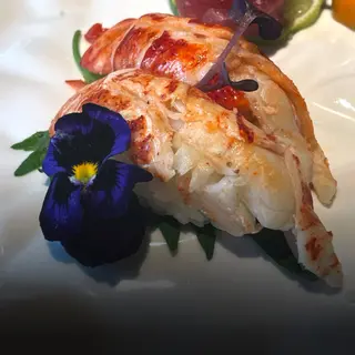 Nigiri astice