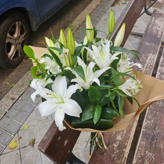 Ramo de 8 lilium oriental blanco XL