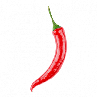Острый перец