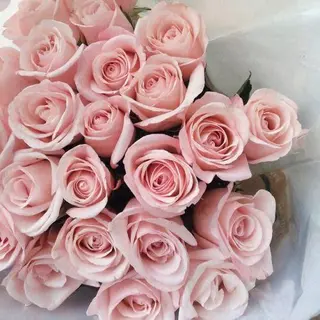 Ramo De 12 Rosas Rosas