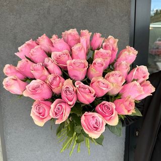 Троянда «Royal Athena», 40 см