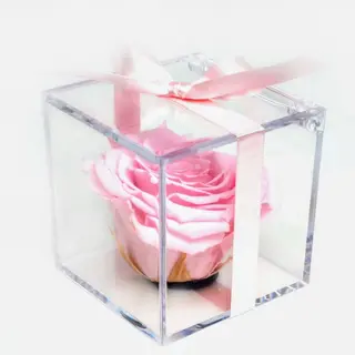 Rosa rosa preservada en caja de metacrilato
