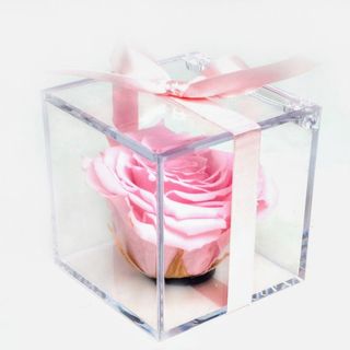 Rosa rosa preservada en caja de metacrilato