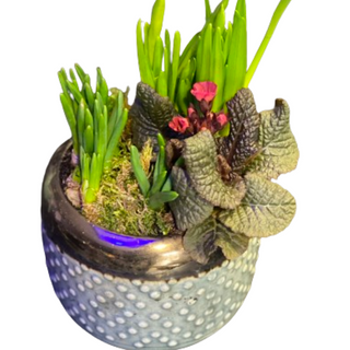 Wiosenna kompozycja w osłonce