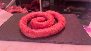 Llonganissa De Vedella