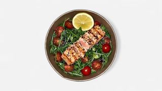 Salmon Omega fit