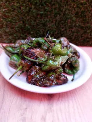 Pimentos Padron