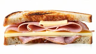 Toast pregiato dei monti