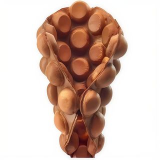 Bubble Waffle Natural