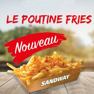 Poutine Fries