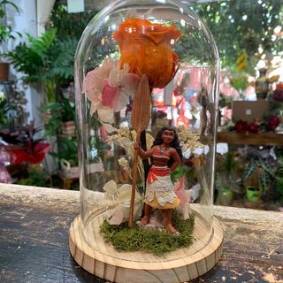 Cúpula con Rosas Eterna Naranja "Hawaii"