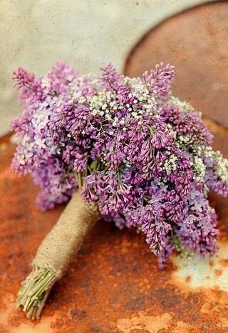 იასამანი