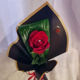 Rosa Encantada