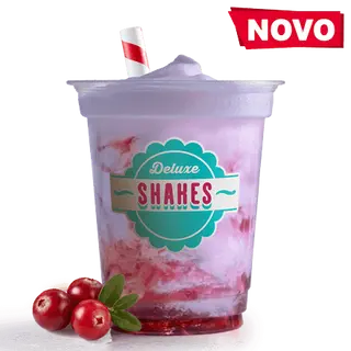 Shake od brusnice 300 ml