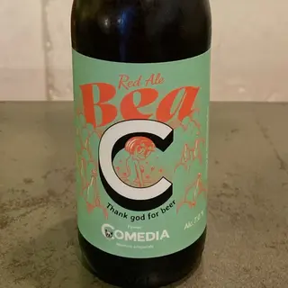 Birra bio vegana artiginale