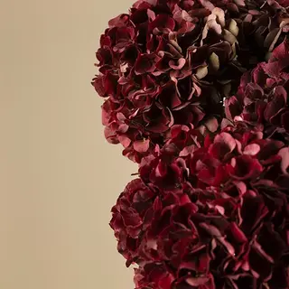 Tallo de hortensia granate premium 