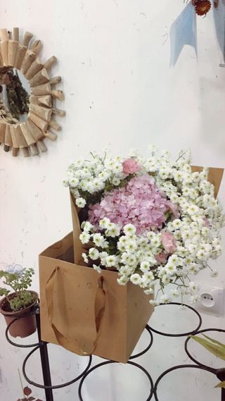 გვირილა ჰორტენზია კრაფტში