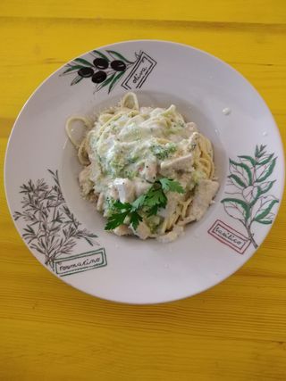 Pasta sa piletinom i brokolima