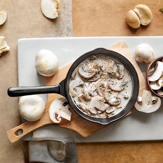 Plat Crémé Champignon