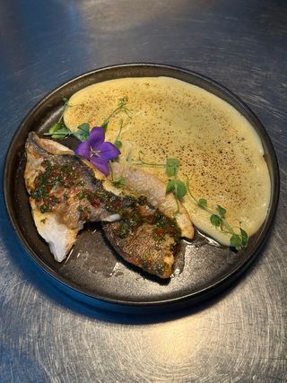 Dorada la cuptor cu polenta si chimichiurri