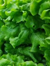 Зелена салата (250г)