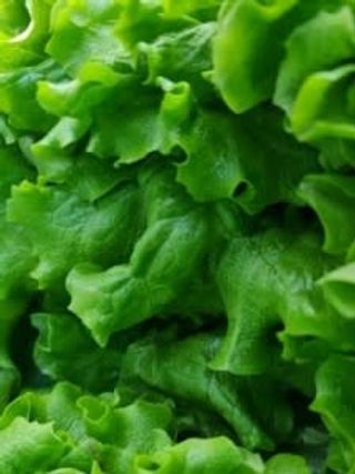 Зелена салата 250г