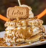  Pancake Lotus 