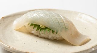 Nigiri calamaro