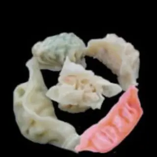 Gyozas Mixte Carn + Marisc