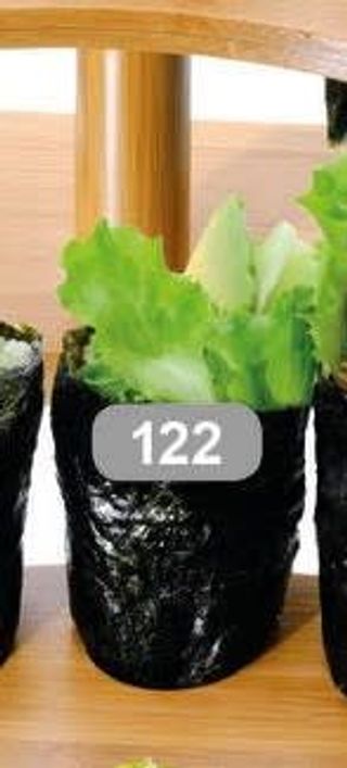 122. Temaki vege  2 pezzi