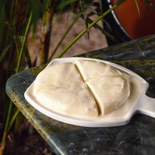 ახლად ამოყვანილი სულგუნი