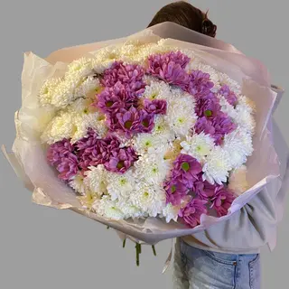 15 chryzantem 
