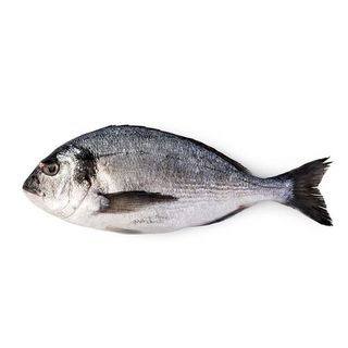 Dorada (500-600Gr)