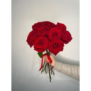 Czerwona Róża 60 cm, 9 szt