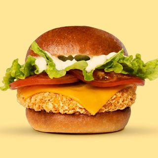 Crunchy Chicken