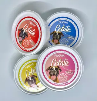gelato per cani - già pronto