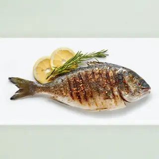 Poussin Fish