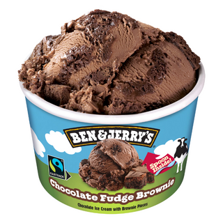 ben & jerry's chocolate fudge brownie 100ml