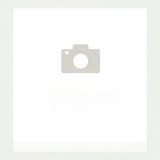 122. Пържен ориз с морски дарове (700г)