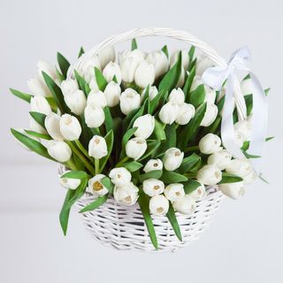 Кошик 75 білих тюльпанів