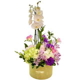 Orhidee in ghiveci si flori in cutie Amazon roz si mov