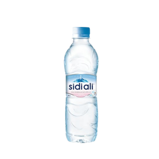 Sidi Ali