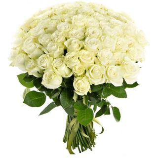  51 біла троянда