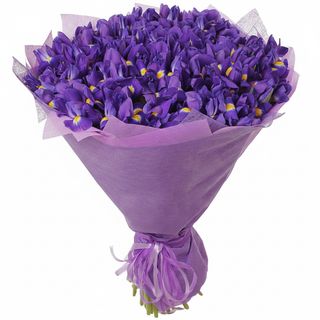 51 фіолетовий ірис