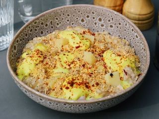 Сирна вівсянка з індичкою (410g)