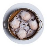 140. Shia Chiao (4 Uds.)