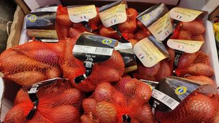 Scalogno 250 g