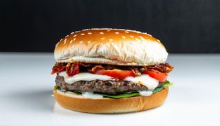 Hamburger power metal