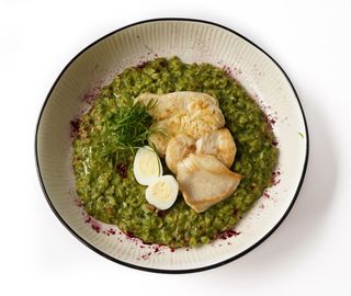 Вівсянка шпинатна