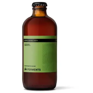 Kombucha de gengibre y menta